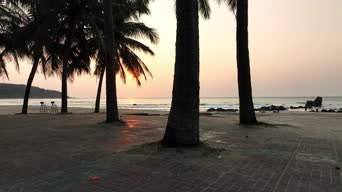旅拍风景,日落,夕阳,树木,植物,海滨,全景