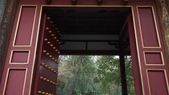 配音,树木,植物,全景
