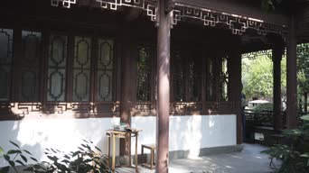 职业技能,歌曲演唱,树木,植物,衣服,全景