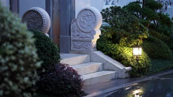 美景,植物,树木,全景
