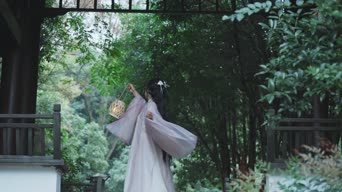 时尚穿搭,女神,大自然,美景,树木,衣服,植物,全景