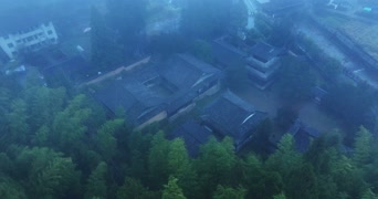 旅拍风景,美景,大自然,树木,全景