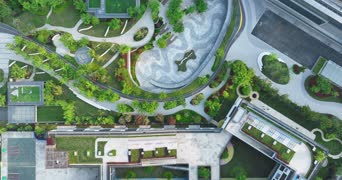 旅拍风景,配音,知识,树木,植物,全景