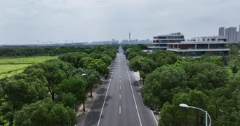 旅拍风景,记录,大自然,美景,树木,高楼,全景