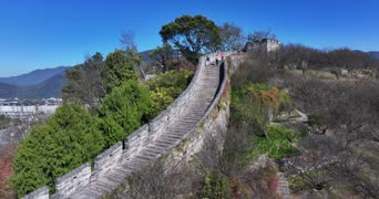 旅拍风景,配音,树木,植物,全景