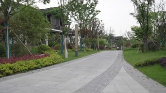 旅拍风景,歌曲演唱,跑步,街拍,树木,植物,全景
