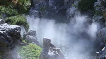 旅拍风景,配音,树木,植物,全景
