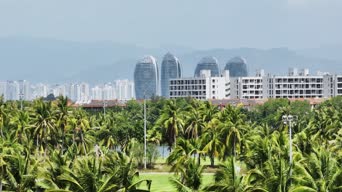 旅拍风景,美景,城市,vlog,树木,植物,高楼,全景