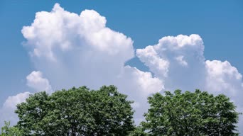 美景,大自然,旅拍,树木,植物,天空,全景