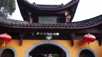 职业技能,庭院,树木,植物,全景