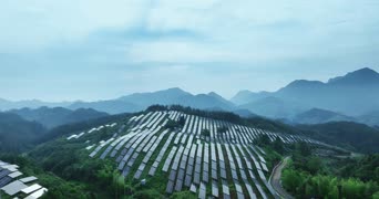 旅拍风景,美景,旅拍,大自然,树木,全景