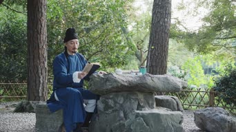 经典语录,vlog,萌宠,树木,植物,衣服,阅读,全景