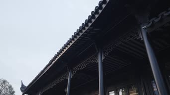 配音,知识,全景