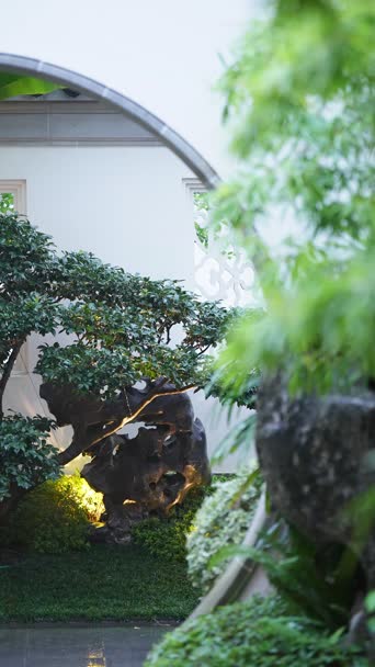 美景,大自然,植物,树木,全景