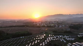 旅拍风景,美景,夕阳,树木,全景
