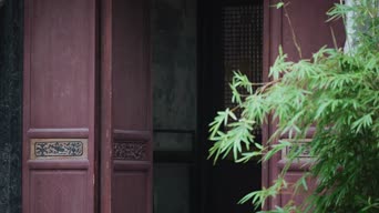 女神,植物,树木,衣服,全景