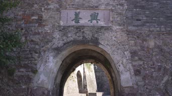 旅拍风景,配音,知识,树木,全景
