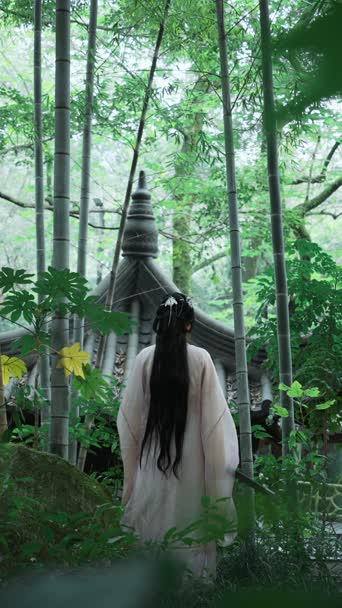 美女帅哥,古典舞,古装,树木,植物,衣服,全景
