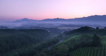 旅拍风景,美景,旅拍,大自然,树木,全景