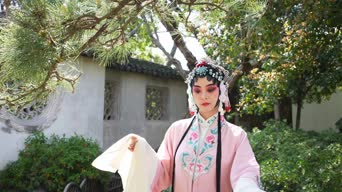 美女帅哥,衣服,树木,植物,花,全景