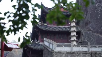 旅拍风景,配音,知识,树木,植物,全景