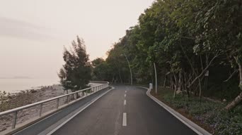 旅拍风景,美景,大自然,树木,植物,全景
