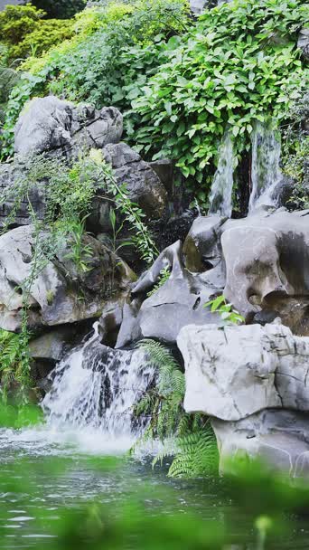 配音,植物,树木,全景