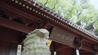 配音,全景