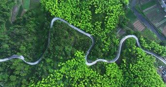旅拍风景,配音,植物,树木,全景