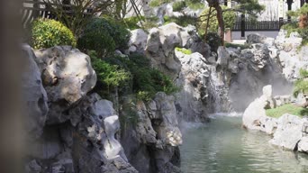 旅拍风景,美景,大自然,植物,树木,全景