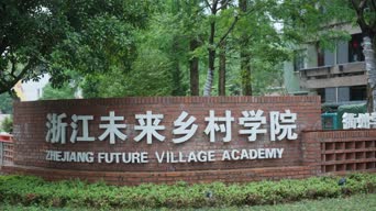 萌宠,树木,植物,衣服,乡村,全景