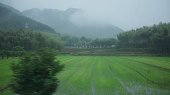 旅拍风景,美景,树木,植物,全景