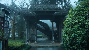 旅拍风景,配音,知识,树木,植物,全景