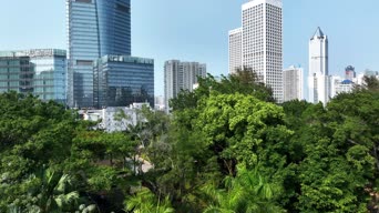 美景,城市,高楼,公寓,树木,植物,高楼大厦,桥梁,城市,街道,全景,会议,Grove Isle,海口世纪大桥,清澜大桥,舟山跨海大桥,秀英炮台,海口中山路,洞庭湖大桥