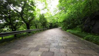 旅拍风景,配音,知识,树木,植物,全景