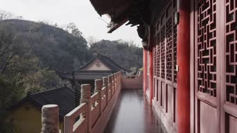 旅拍风景,配音,知识,树木,植物,全景