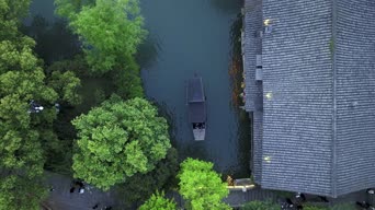 旅拍风景,美景,大自然,树木,植物,全景