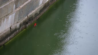 旅拍风景,配音,美景,游泳,植物,全景