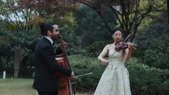 乐器演奏,配音,衣服,树木,植物,弹小提琴,全景