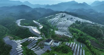 旅拍风景,配音,树木,植物,全景