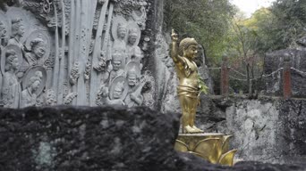 旅拍风景,配音,树木,植物,全景