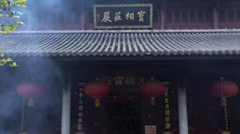 旅拍风景,配音,知识,树木,植物,千丰,全景