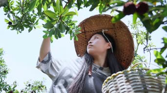 乡村生活,美景,农村,大自然,女神,树木,衣服,植物,花,影视,全景