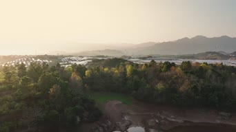 旅拍风景,配音,树木,植物,全景