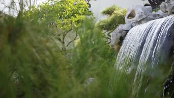 配音,植物,树木,瀑布,全景