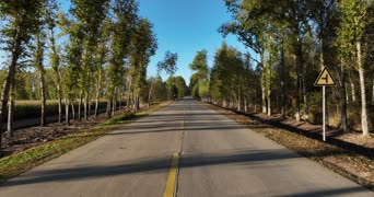 旅拍风景,美景,大自然,vlog,树木,植物,山路,全景