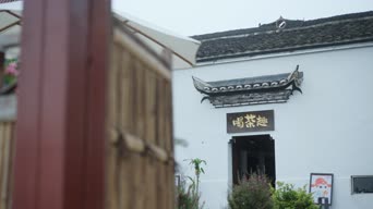 配音,植物,树木,全景