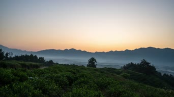 旅拍风景,配音,树木,植物,全景