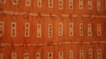 配音,养生健康,胭脂,螺蛳,杜仲,全景