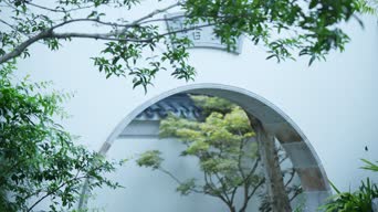 职业技能,配音,树木,植物,全景